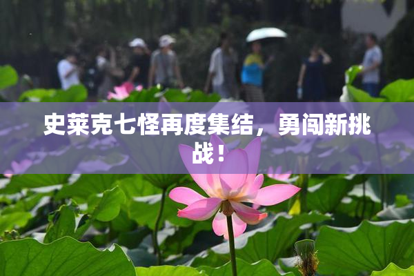 史莱克七怪再度集结，勇闯新挑战！