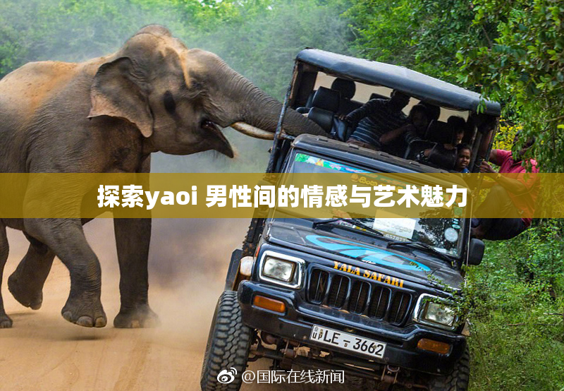 探索yaoi 男性间的情感与艺术魅力