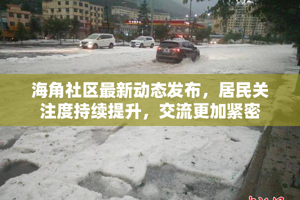 海角社区最新动态发布，居民关注度持续提升，交流更加紧密