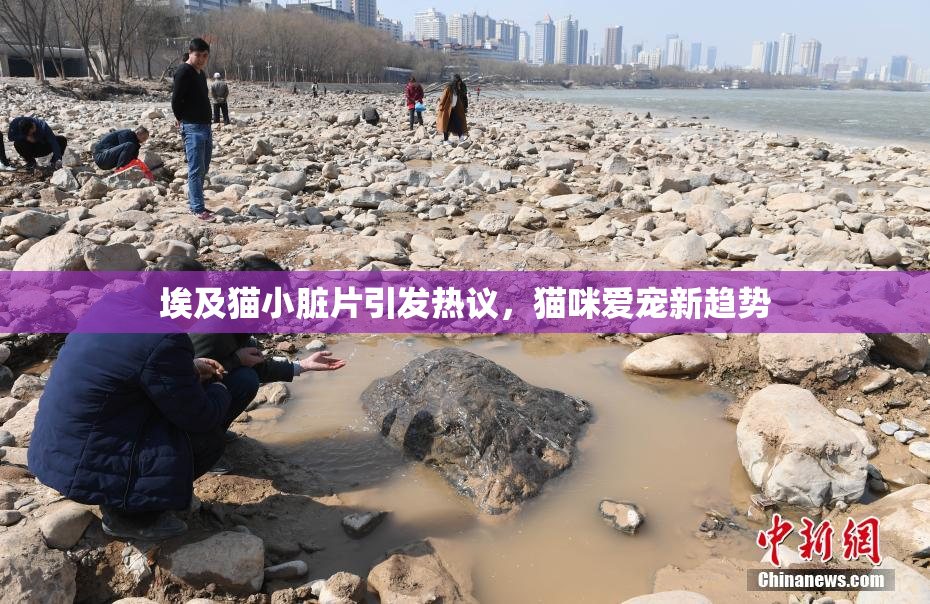 埃及猫小脏片引发热议，猫咪爱宠新趋势