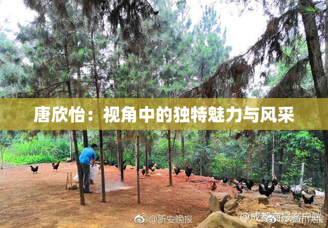 唐欣怡：视角中的独特魅力与风采