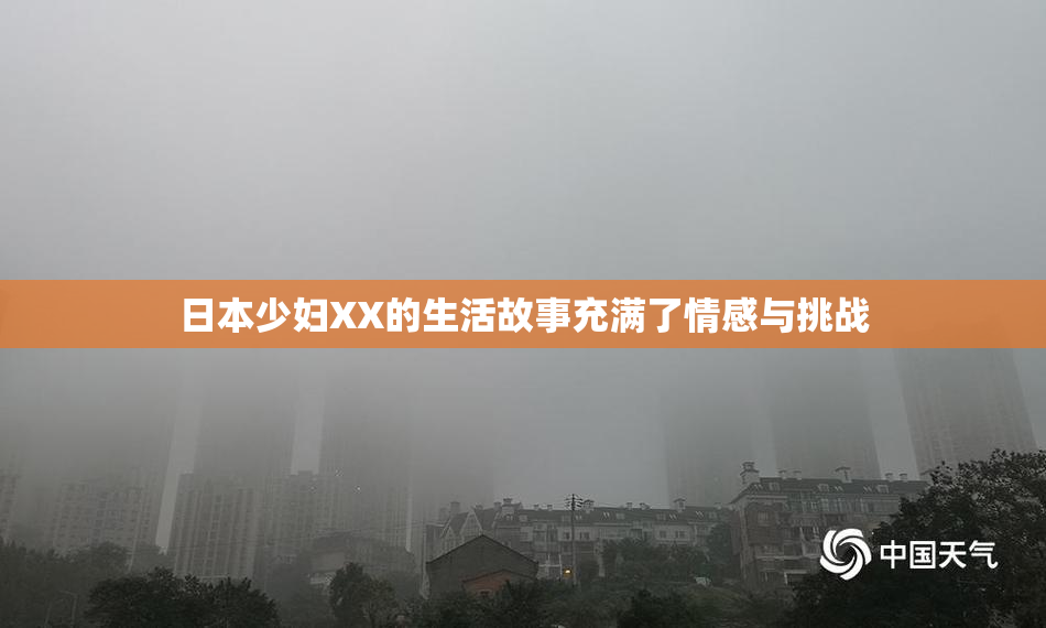 日本少妇XX的生活故事充满了情感与挑战