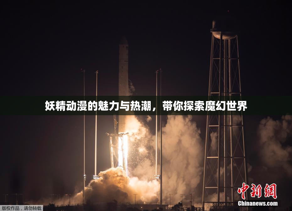 妖精动漫的魅力与热潮，带你探索魔幻世界