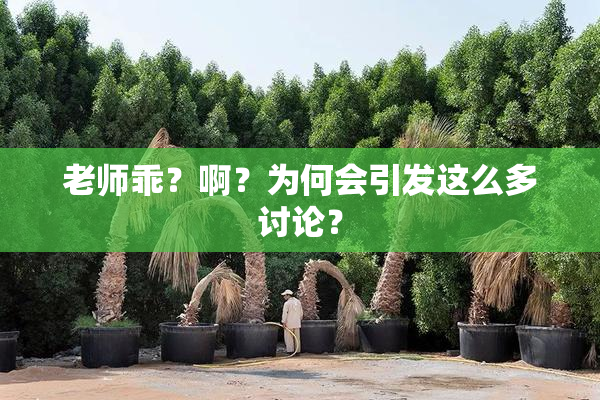 老师乖？啊？为何会引发这么多讨论？