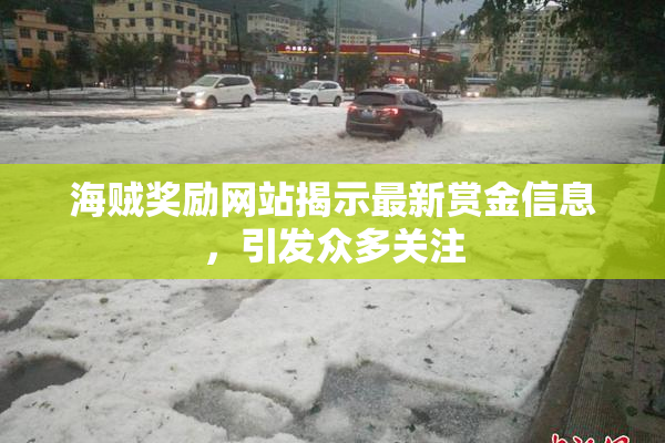 海贼奖励网站揭示最新赏金信息，引发众多关注