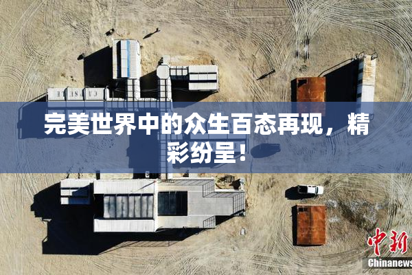 完美世界中的众生百态再现，精彩纷呈！