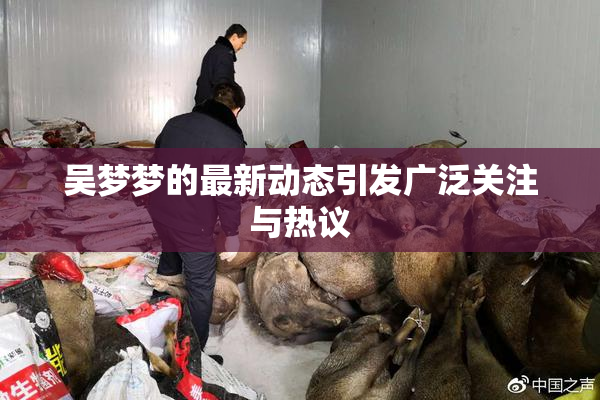 吴梦梦的最新动态引发广泛关注与热议