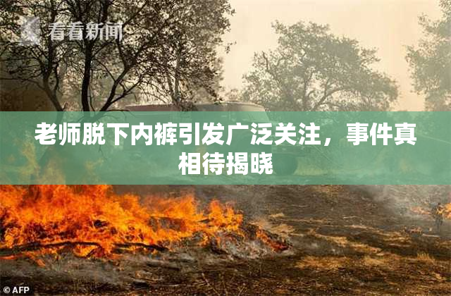 老师脱下内裤引发广泛关注，事件真相待揭晓