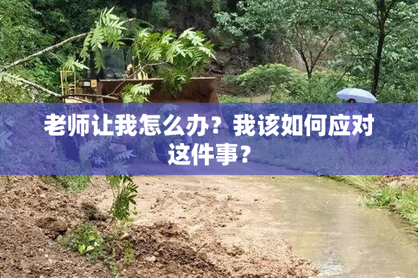 老师让我怎么办？我该如何应对这件事？