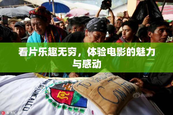 看片乐趣无穷，体验电影的魅力与感动