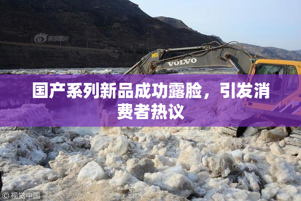 国产系列新品成功露脸，引发消费者热议