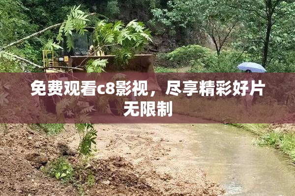 免费观看c8影视，尽享精彩好片无限制