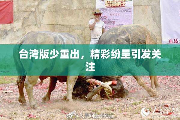 台湾版少重出，精彩纷呈引发关注