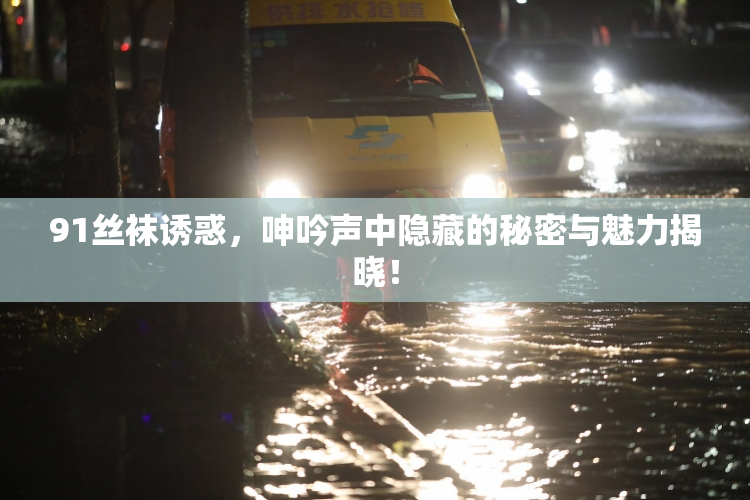 91丝袜诱惑，呻吟声中隐藏的秘密与魅力揭晓！