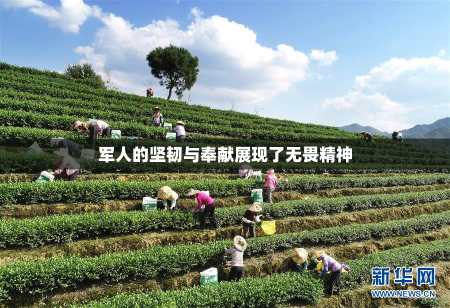 军人的坚韧与奉献展现了无畏精神