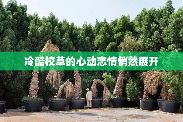 冷酷校草的心动恋情悄然展开