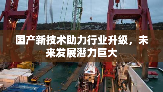 国产新技术助力行业升级，未来发展潜力巨大