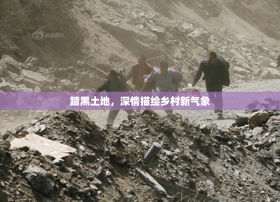 踏黑土地，深情描绘乡村新气象
