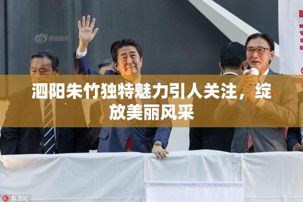 泗阳朱竹独特魅力引人关注，绽放美丽风采