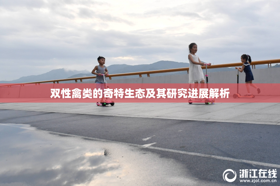 双性禽类的奇特生态及其研究进展解析