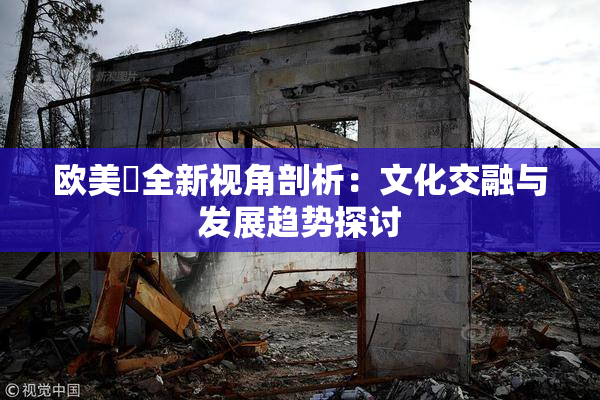欧美巜全新视角剖析：文化交融与发展趋势探讨