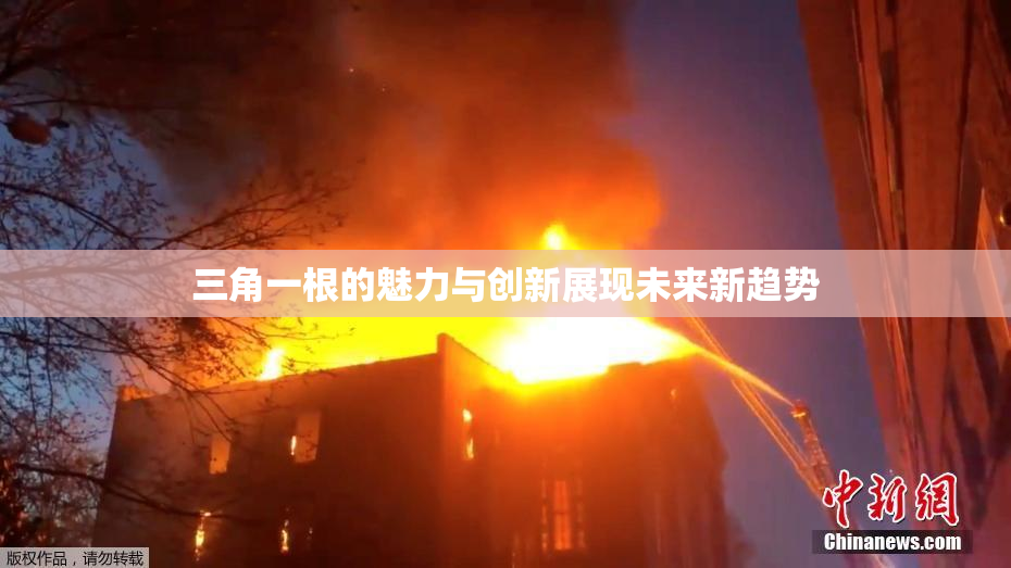 三角一根的魅力与创新展现未来新趋势