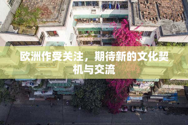 欧洲作受关注，期待新的文化契机与交流