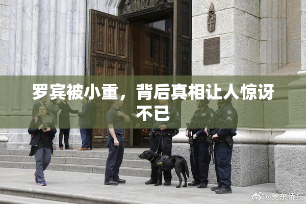 罗宾被小重，背后真相让人惊讶不已