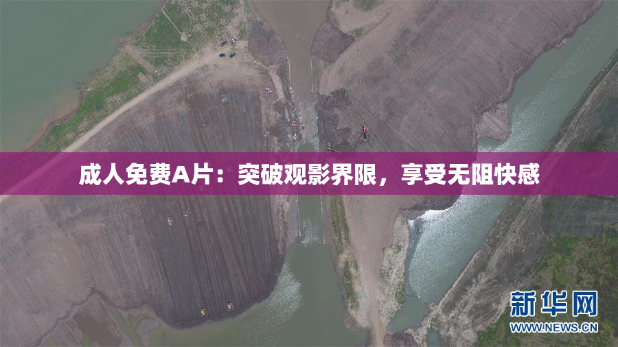 成人免费A片：突破观影界限，享受无阻快感