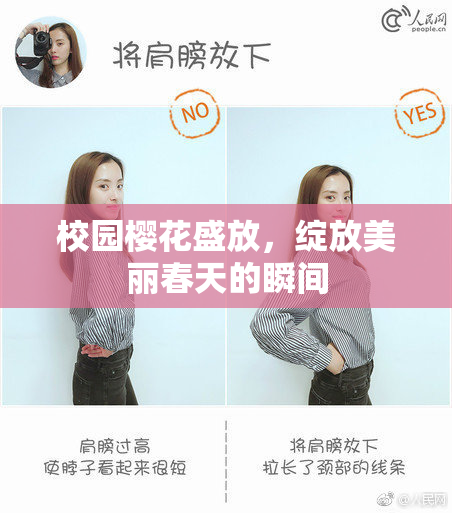 校园樱花盛放，绽放美丽春天的瞬间