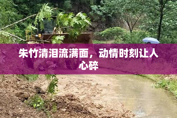 朱竹清泪流满面，动情时刻让人心碎