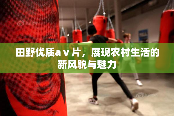 田野优质aⅴ片，展现农村生活的新风貌与魅力