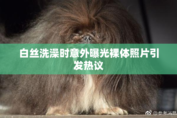白丝洗澡时意外曝光裸体照片引发热议