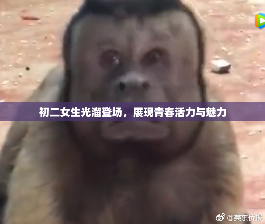 初二女生光溜登场，展现青春活力与魅力