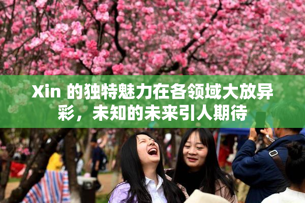 Xin 的独特魅力在各领域大放异彩，未知的未来引人期待