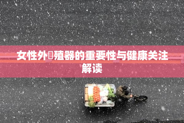 女性外夝殖器的重要性与健康关注解读