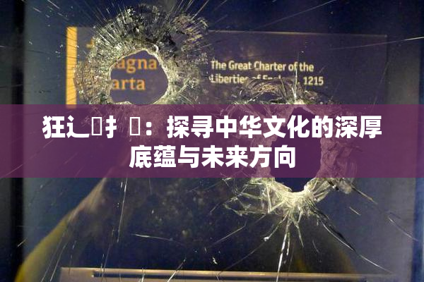 狂辶喿扌畐：探寻中华文化的深厚底蕴与未来方向
