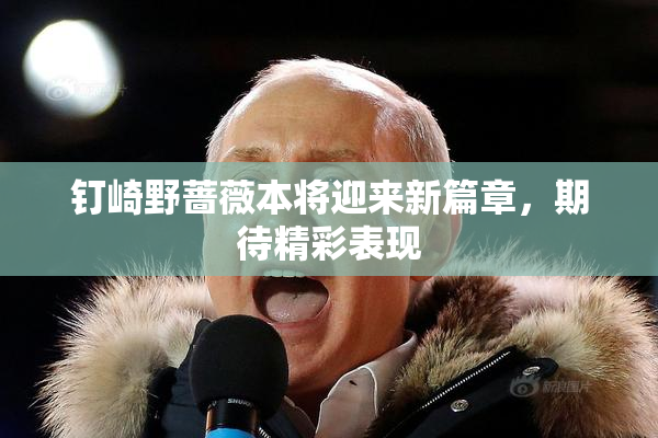 钉崎野蔷薇本将迎来新篇章，期待精彩表现
