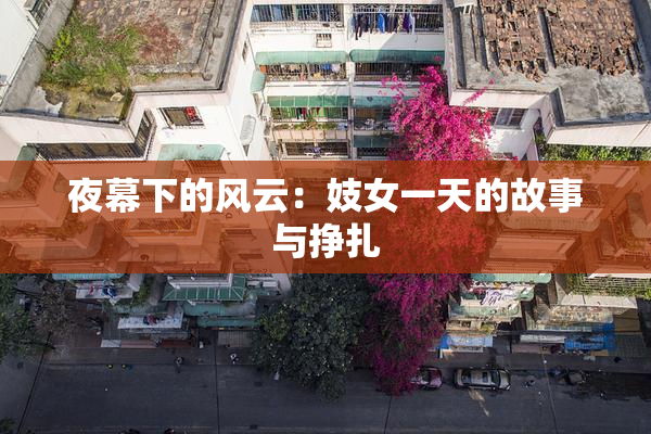 夜幕下的风云：妓女一天的故事与挣扎