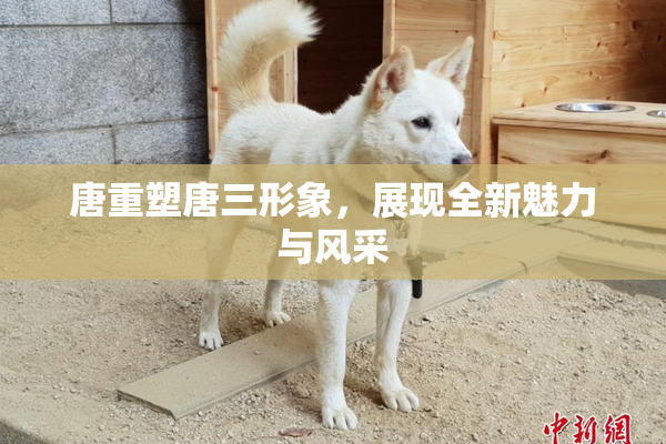 唐重塑唐三形象，展现全新魅力与风采