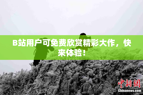 B站用户可免费欣赏精彩大作，快来体验！