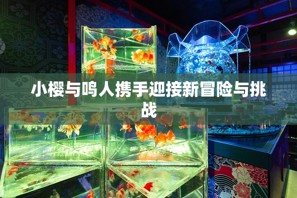 小樱与鸣人携手迎接新冒险与挑战
