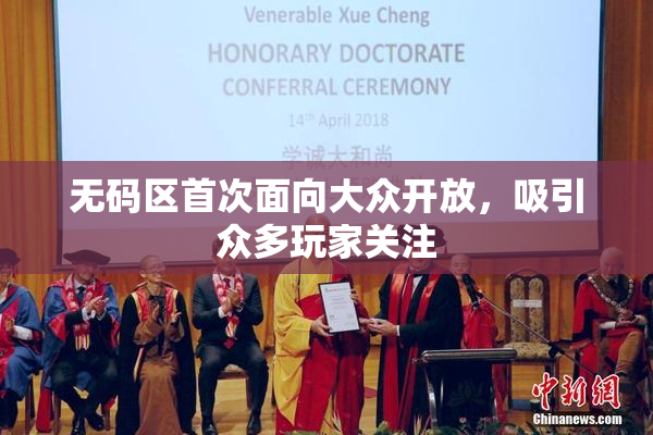 无码区首次面向大众开放，吸引众多玩家关注