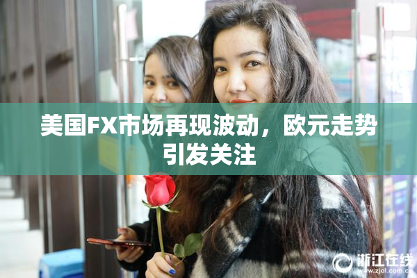 美国FX市场再现波动，欧元走势引发关注