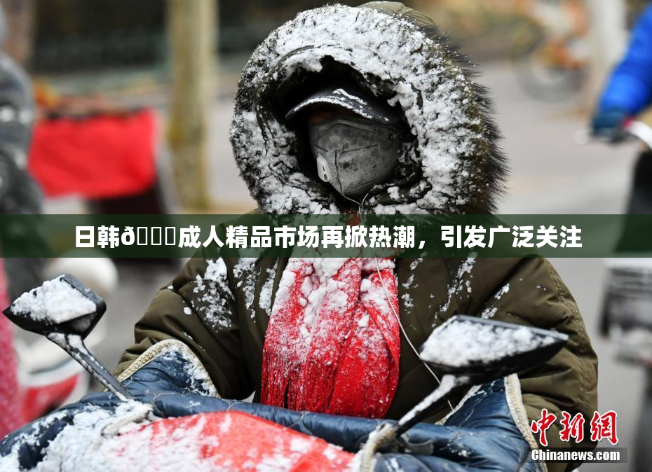 日韩🔞成人精品市场再掀热潮，引发广泛关注