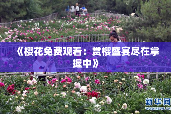《樱花免费观看：赏樱盛宴尽在掌握中》