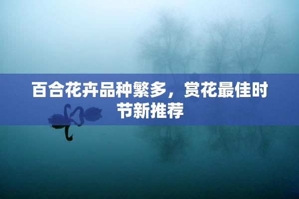 百合花卉品种繁多，赏花最佳时节新推荐
