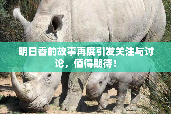 明日香的故事再度引发关注与讨论，值得期待！
