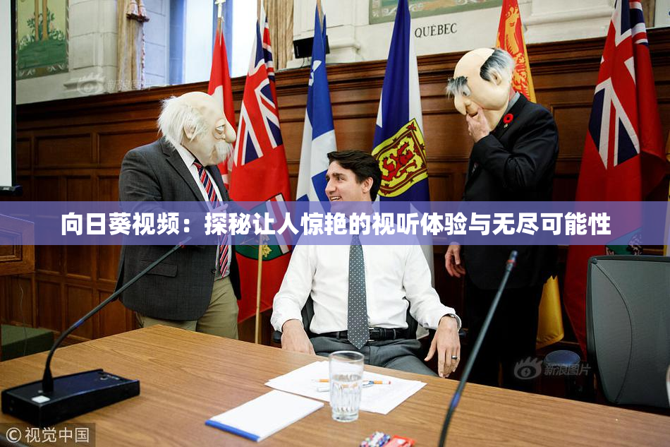 向日葵视频：探秘让人惊艳的视听体验与无尽可能性