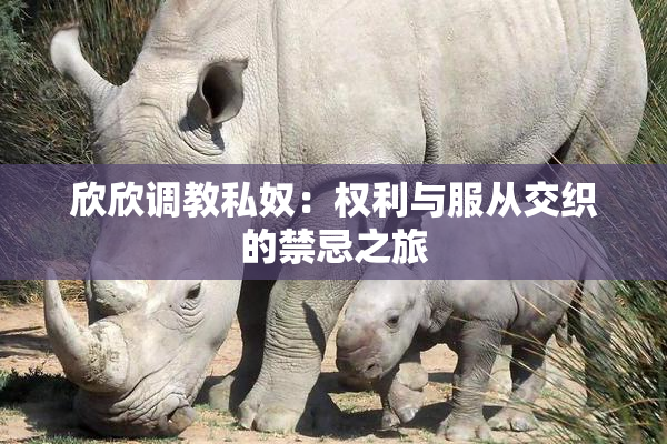 欣欣调教私奴：权利与服从交织的禁忌之旅